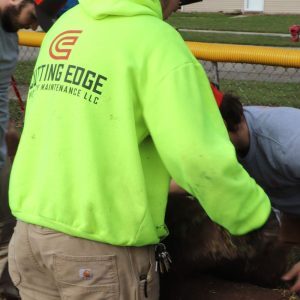 Aeration and Overseeding Downriver Michigan