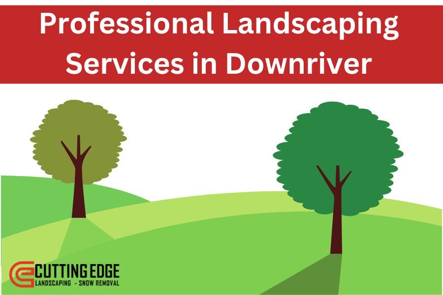 Professional Landscaping Services in Downriver