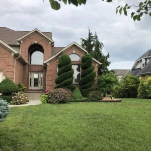 Tree Planting Pruning Removing Downriver Michigan
