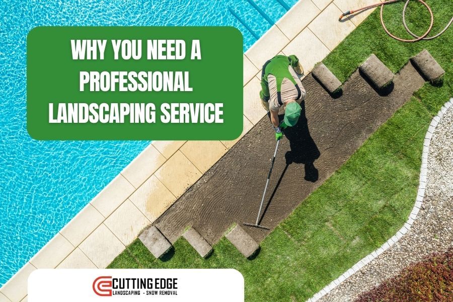 Why You Need a Professional Landscaping Service