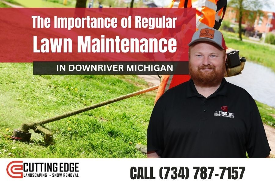 The Importance of Regular Lawn Maintenance in Downriver Michigan