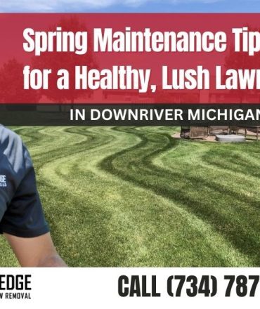 Spring Maintenance Tips for a Healthy, Lush Lawn in Downriver Michigan