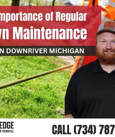 The Importance of Regular Lawn Maintenance in Downriver Michigan
